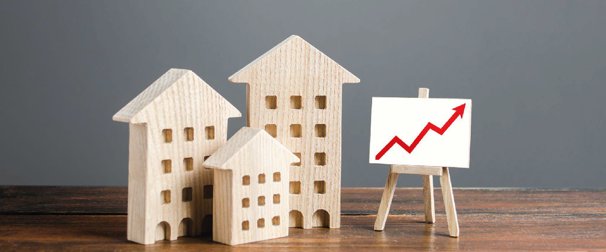 Real Estate Development